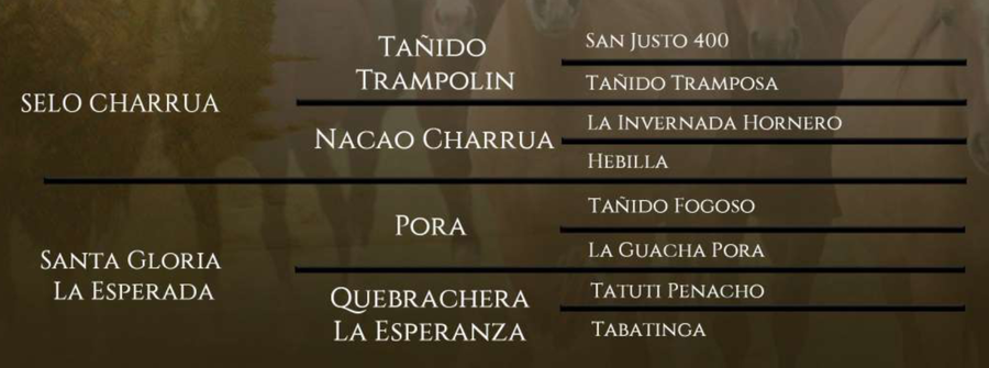 Lote Santa Gloria Bienvenida