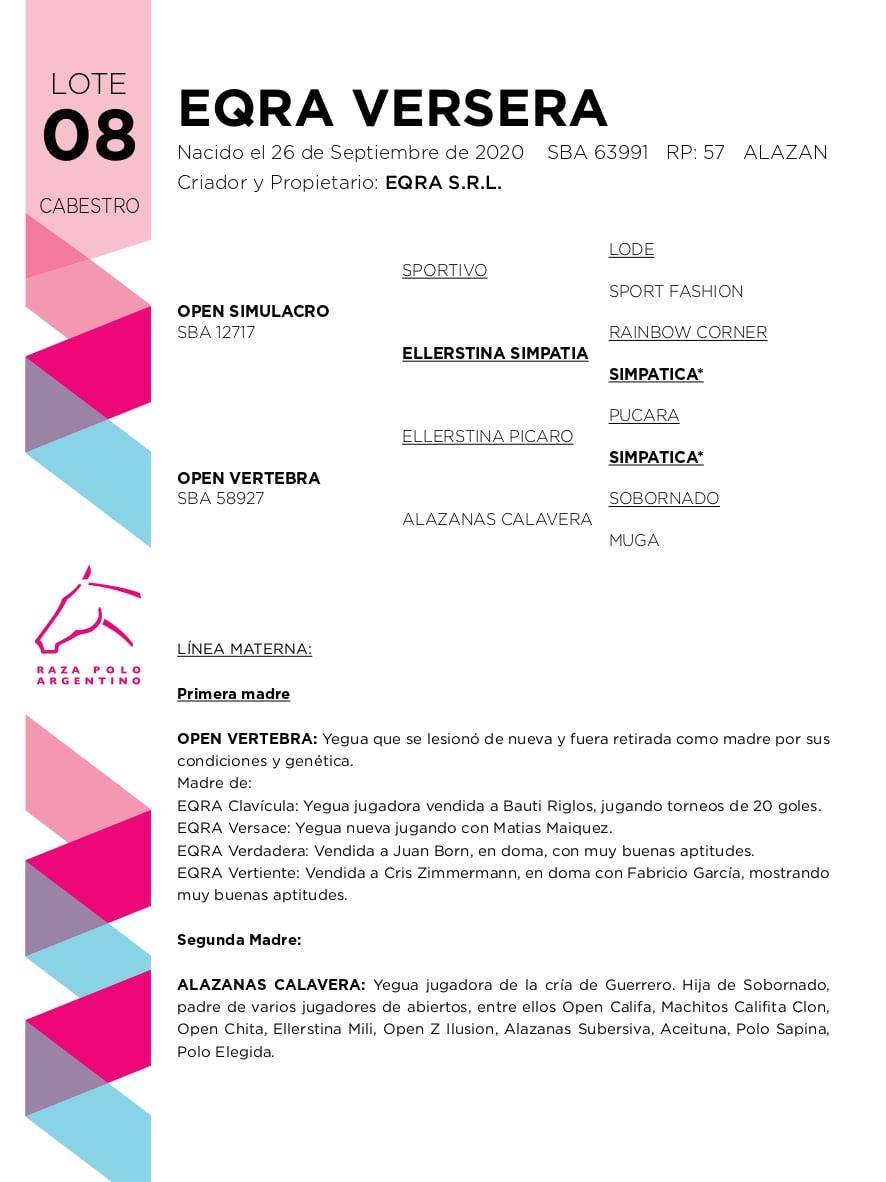 Lote EQRA VERSERA (OPEN SIMULACRO - OPEN VERTEBRA)