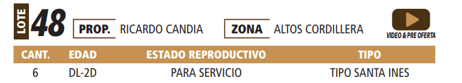 Lote LOTE 48 -POR PANTALLA