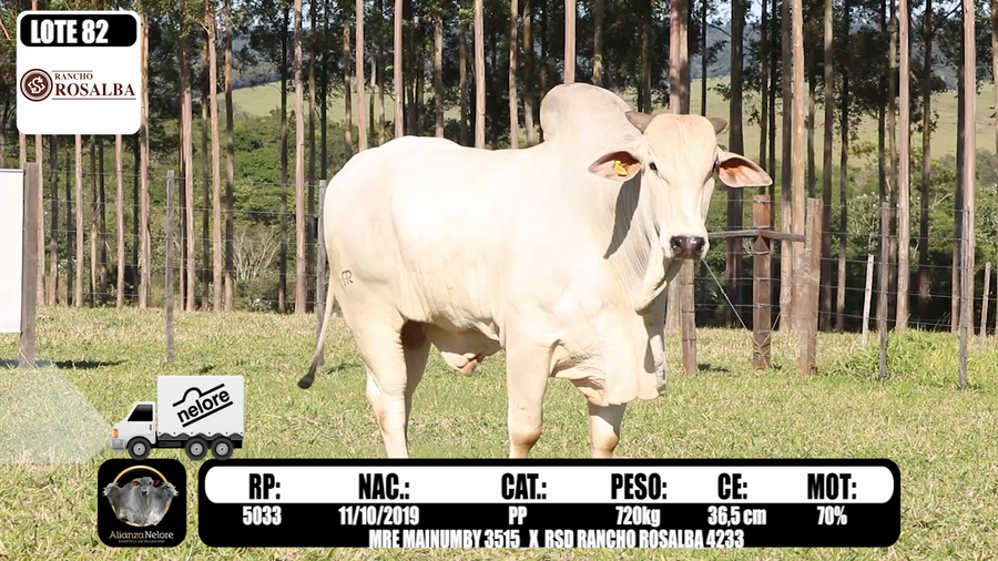 Lote LOTE 82 - RP 5033