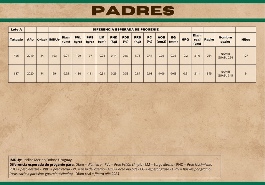 Lote Carneros a remate en Subasta Online - Nambi Guasu, Lavalleja