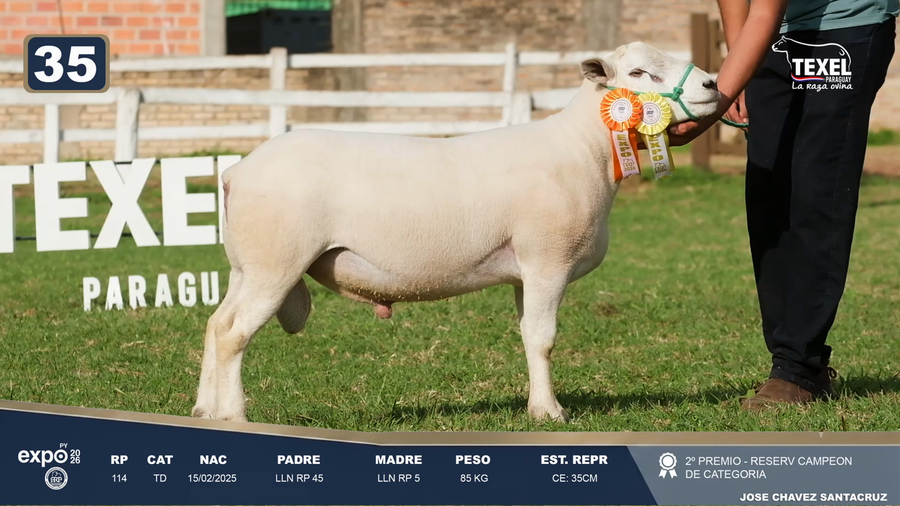 Lote LOTE 35
