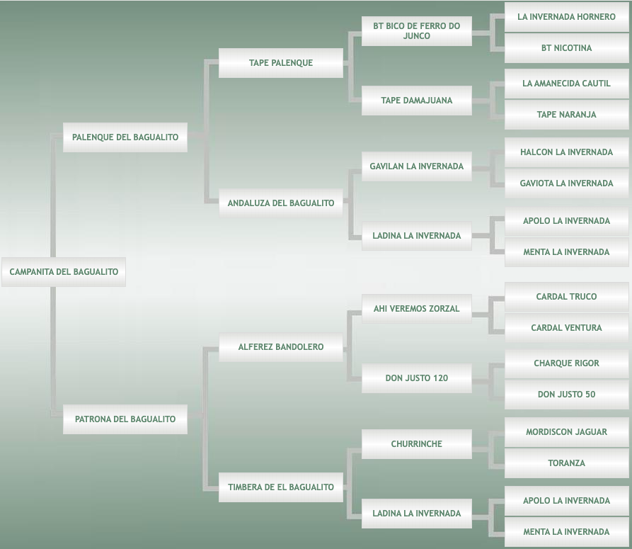 Lote Campanita Del Bagualito