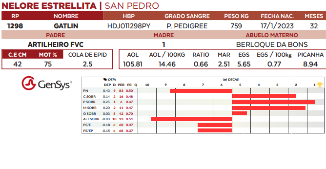 Lote LOTE 54