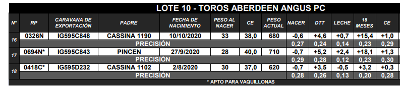 Lote TOROS ANGUS PC