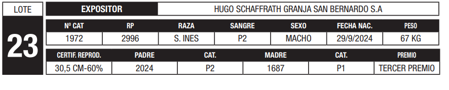 Lote LOTE 23