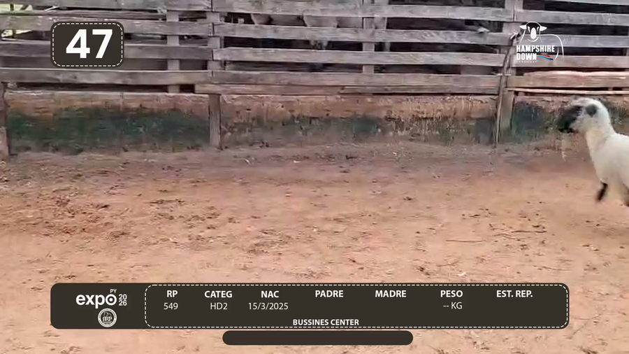Lote LOTE 47 - CAMPO