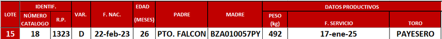 Lote LOTE 15