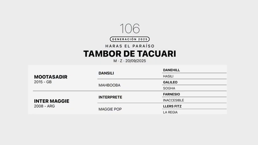 Lote TAMBOR DE TACUARI