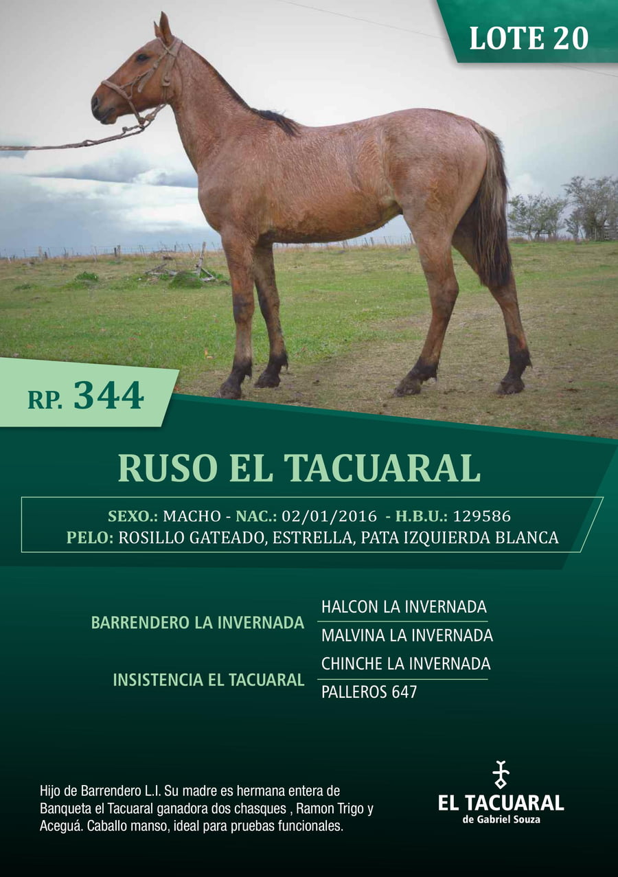 Lote RUSO EL TACUARAL - R.P. 344