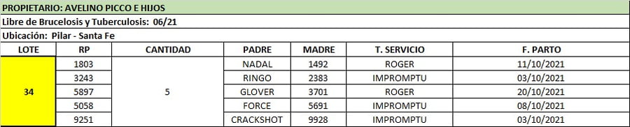 Lote Lote 34 Avelino Picco