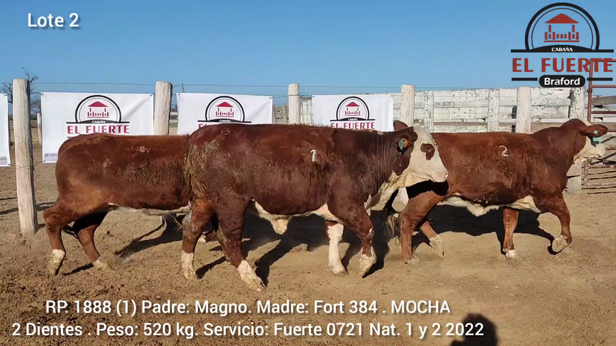 Lote CABAÑA EL FUERTE