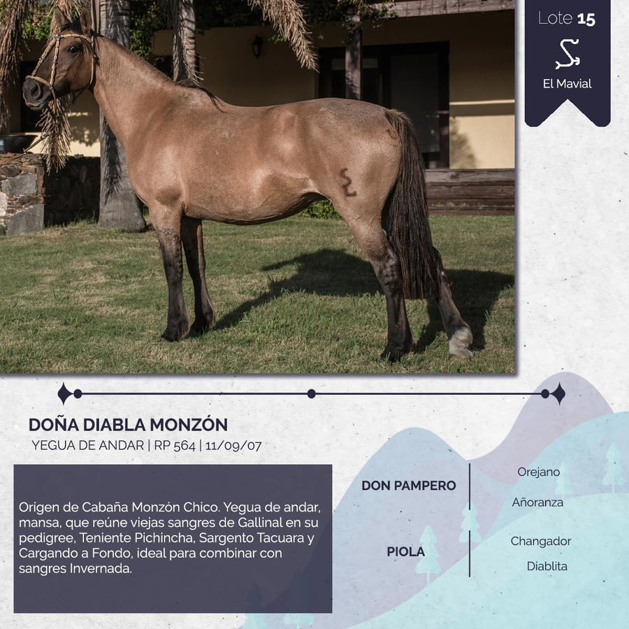 Lote DOÑA DIABLA MONZON