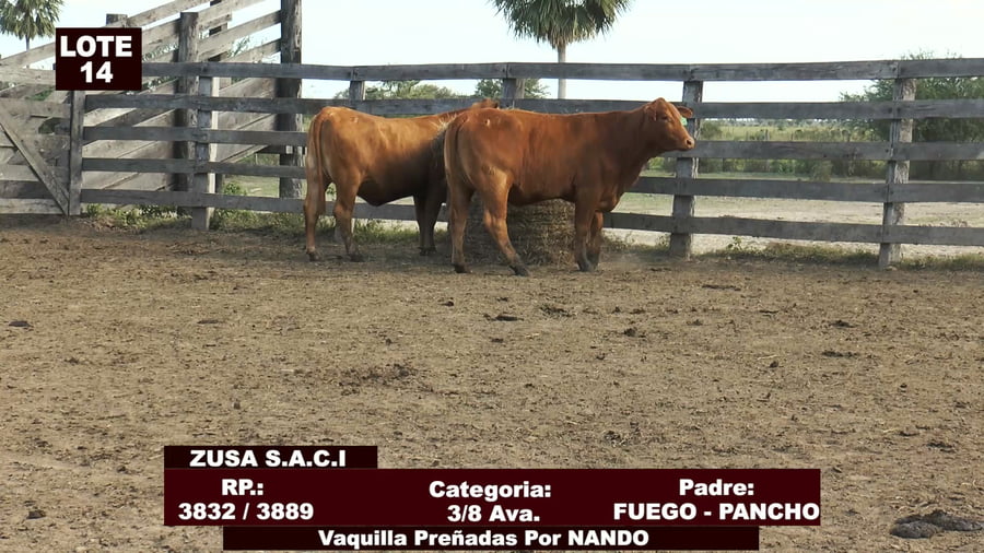 Lote Cabañas de Tradición - Lote 14