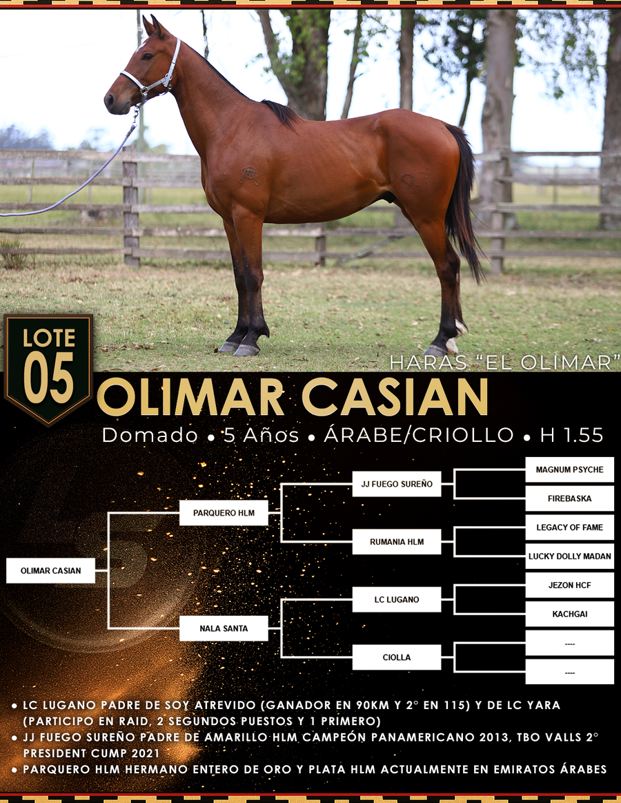 Lote OLIMAR CASIAN