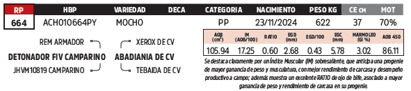Lote LOTE 62