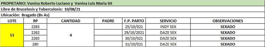 Lote Lote 53 Vanina Roberto Luciano