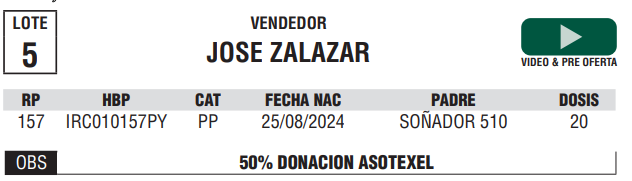 Lote LOTE 5