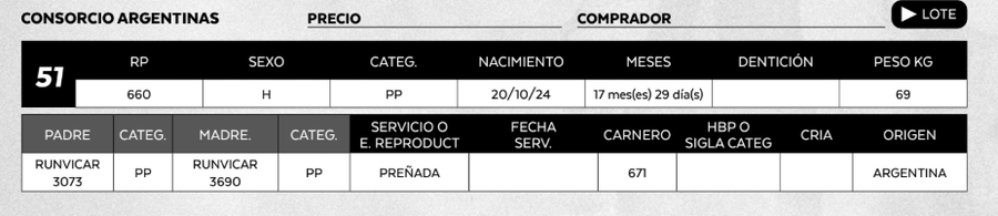 Lote LOTE 51