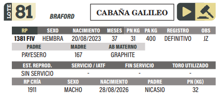 Lote LOTE 81