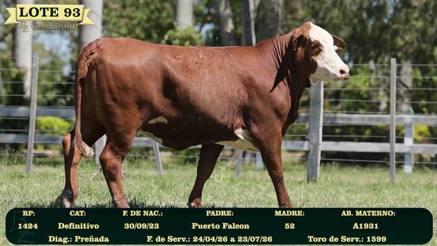 Lote LOTE 93