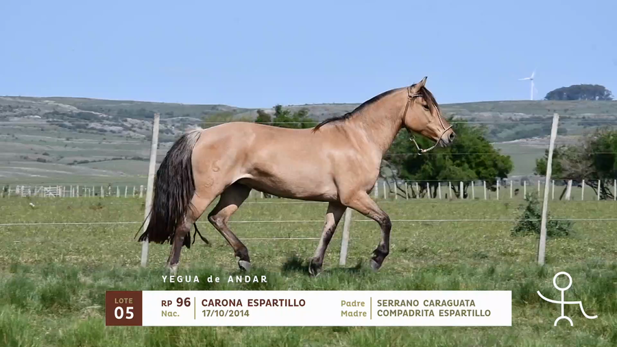 Lote CARONA ESPARTILLO