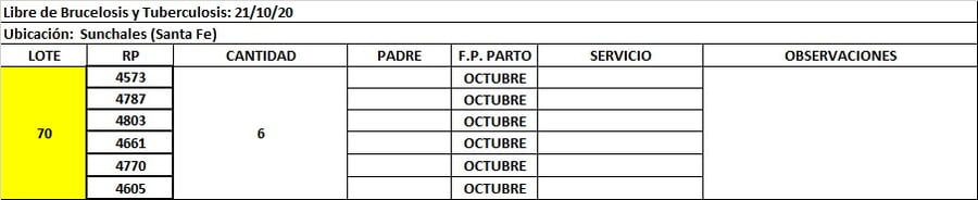 Lote Lote 70 Giovenale Jorge