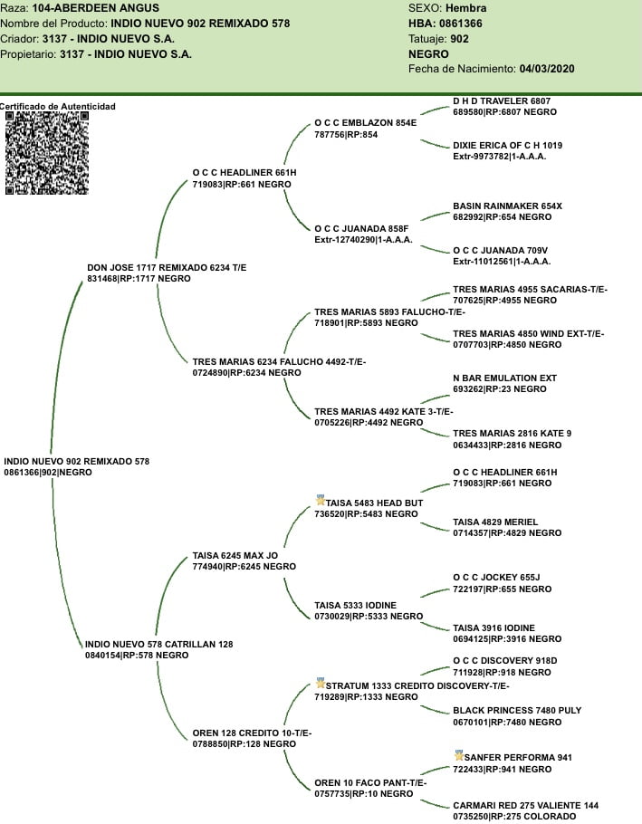 Lote VAQUILLONAS CON CRIA SANTA ROSA