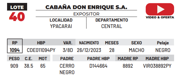 Lote LOTE 40 -DE CAMPO