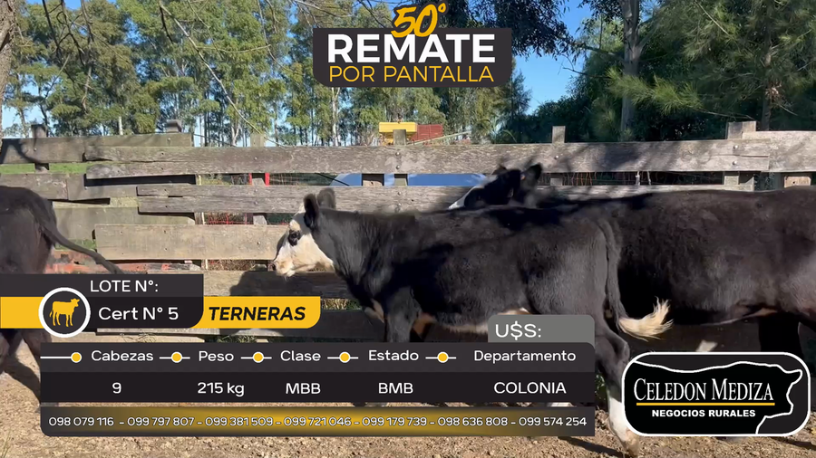 Lote 9 Terneras en Otra Localidad, Colonia
