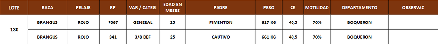 Lote LOTE 130
