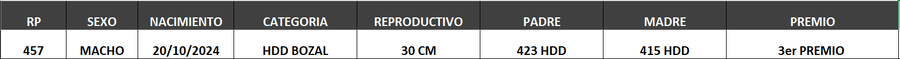 Lote LOTE 10- BOZAL
