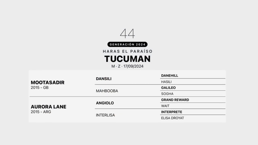 Lote TUCUMAN