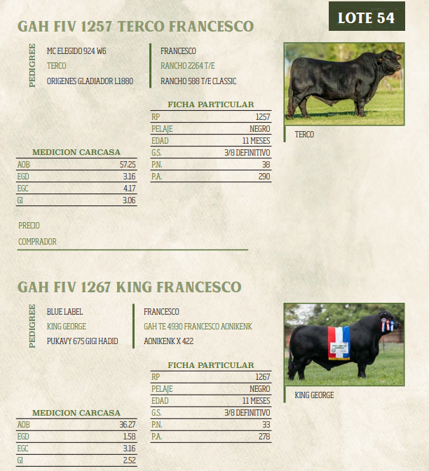 Lote LOTE 54
