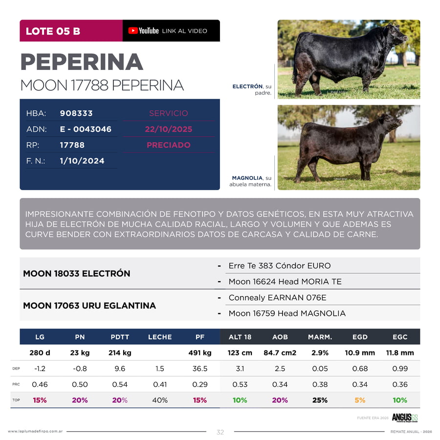 Lote RP 17757 Y 17788 - VAQUILLONAS PP ELITE VENTA DE UNA ELECCION