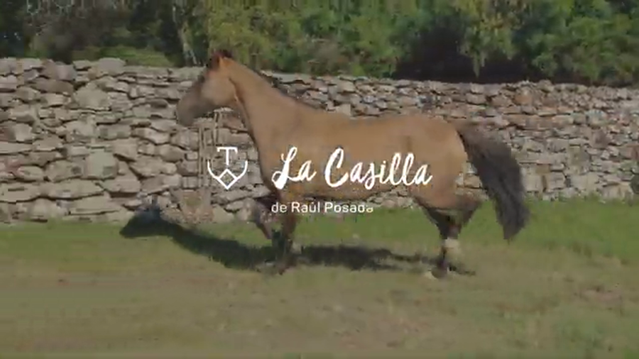 Lote ERUDITA 716 DE LA CASILLA