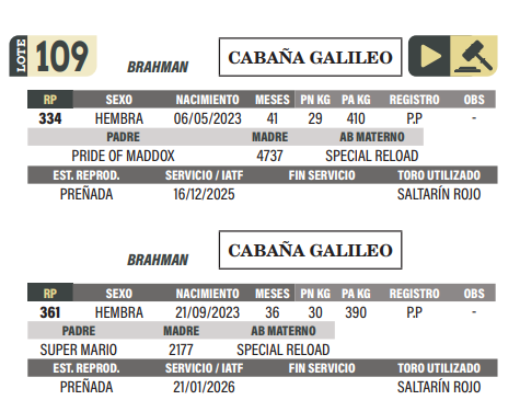 Lote LOTE 109
