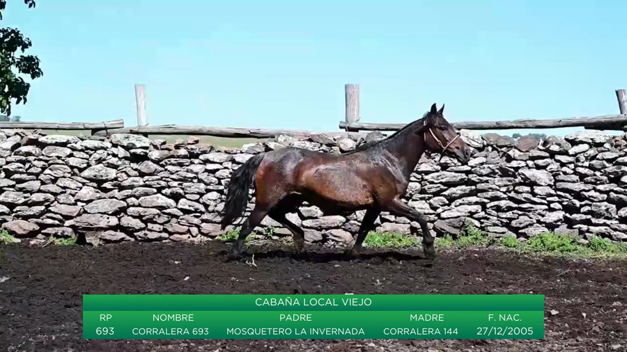 Lote Corralera 693