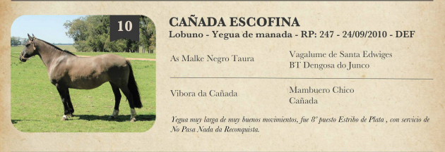 Lote Criollo da Fronteira Cañada Escofina RP: 247