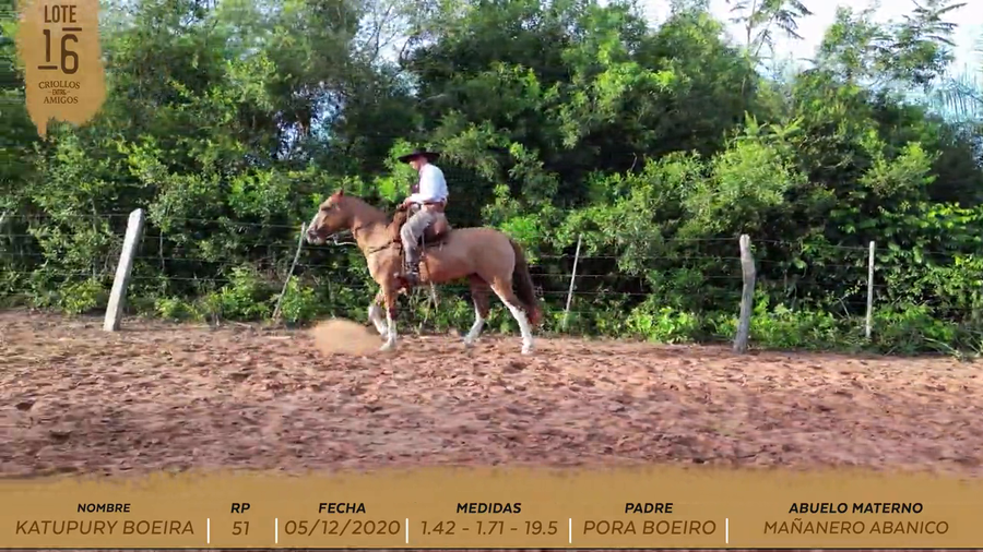 Lote KATUPURY BOEIRA