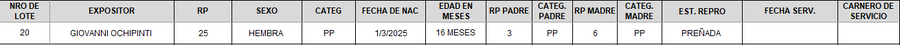 Lote LOTE 20 - CAMPO