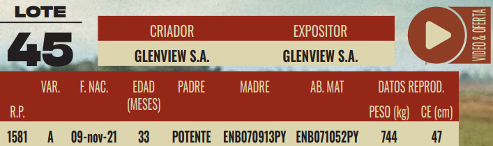 Lote LOTE 45 - MACHOS DE CAMPO