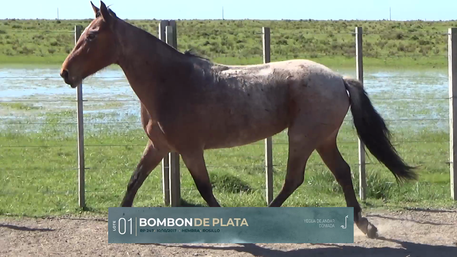 Lote Yeguarizos a remate en Criollos, Montevideo