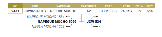 Lote LOTE 67