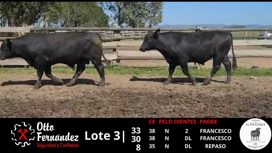 Lote LOTE 3 EL PALENQUE