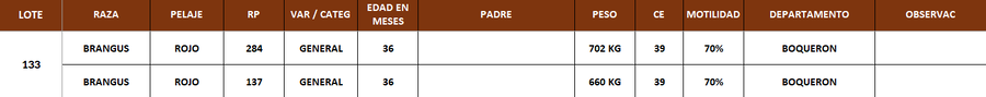 Lote LOTE 133