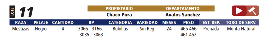 Lote LOTE 11