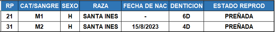 Lote LOTE 2