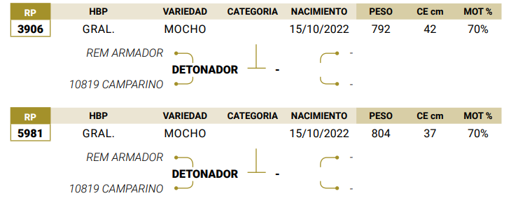 Lote LOTE 23