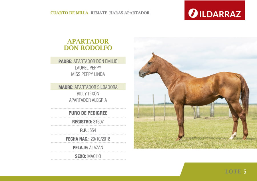 Lote APARTADOR DON RODOLFO